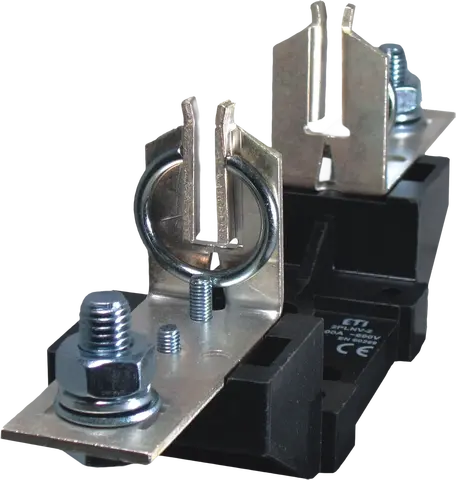 * 2PLNV - 1/1 D