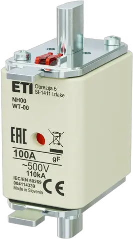Kép erről: NH00 gF 100A/500V