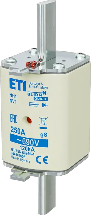 Kép erről: NH1 gS 250A/690V