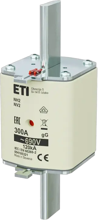 Kép erről: NH2 gG 300A/690V