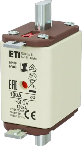 NH00/I gG 100A/500V