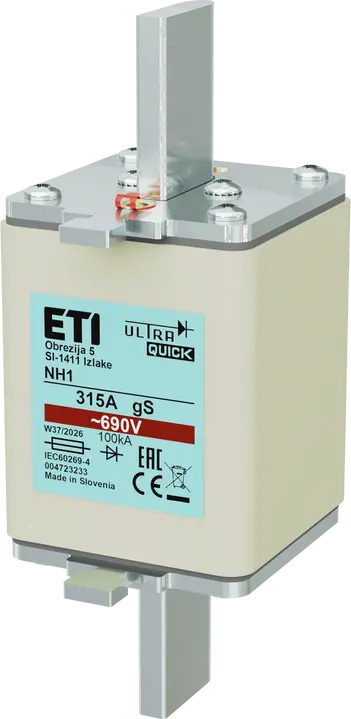 Kép erről: NH1 gS 315A/690V