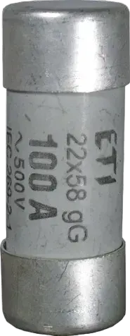 Kép erről: CH22x58/P gG 6A/690V